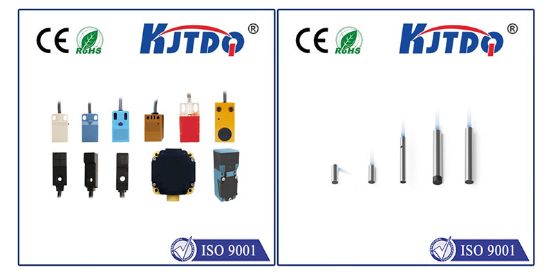 ?????????? vs ???????????????????????:???????、???????????、???????????????????????